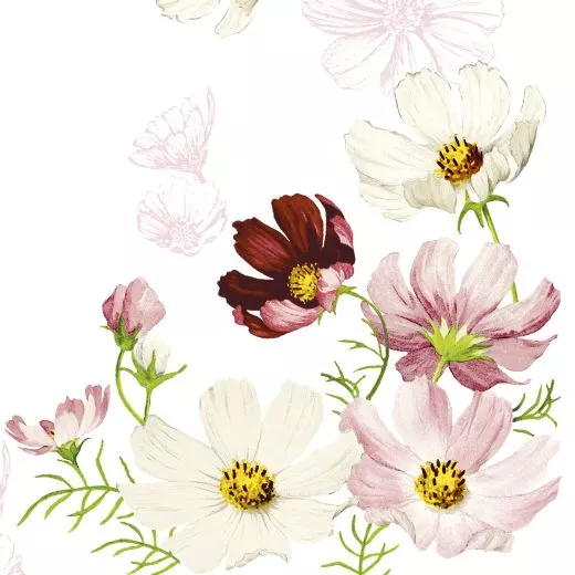 40er Linclass, COSMEA, 50 St點k 101679