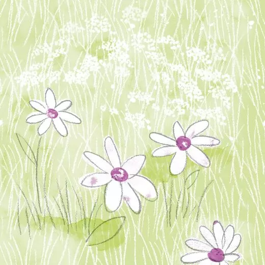 40er Tissue-Serviette, LILLY & LENNI, 600 Stück 102139