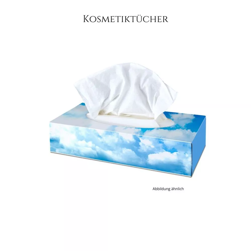 Kosmetiktücher, 2lg., weiss, 40 x 100 St. SONDERBESTELLUNG